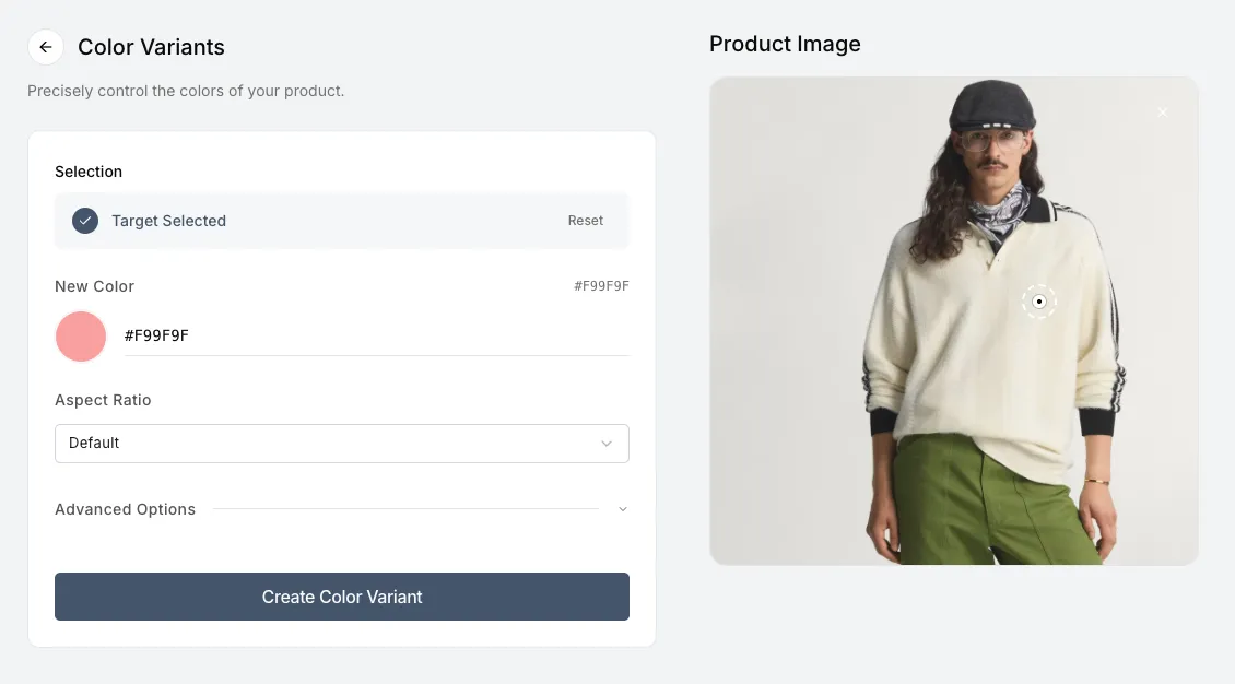 Screenshot of a selected photo with a fashion model on the right and the color selection input on the left showing a specific Hex code being entered