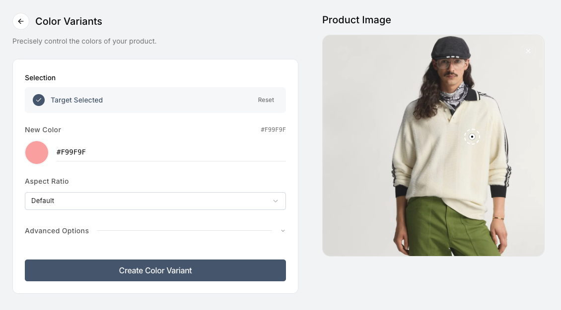 Screenshot of a selected photo with a fashion model on the right and the color selection input on the left showing a specific Hex code being entered