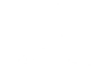 DogKingdom